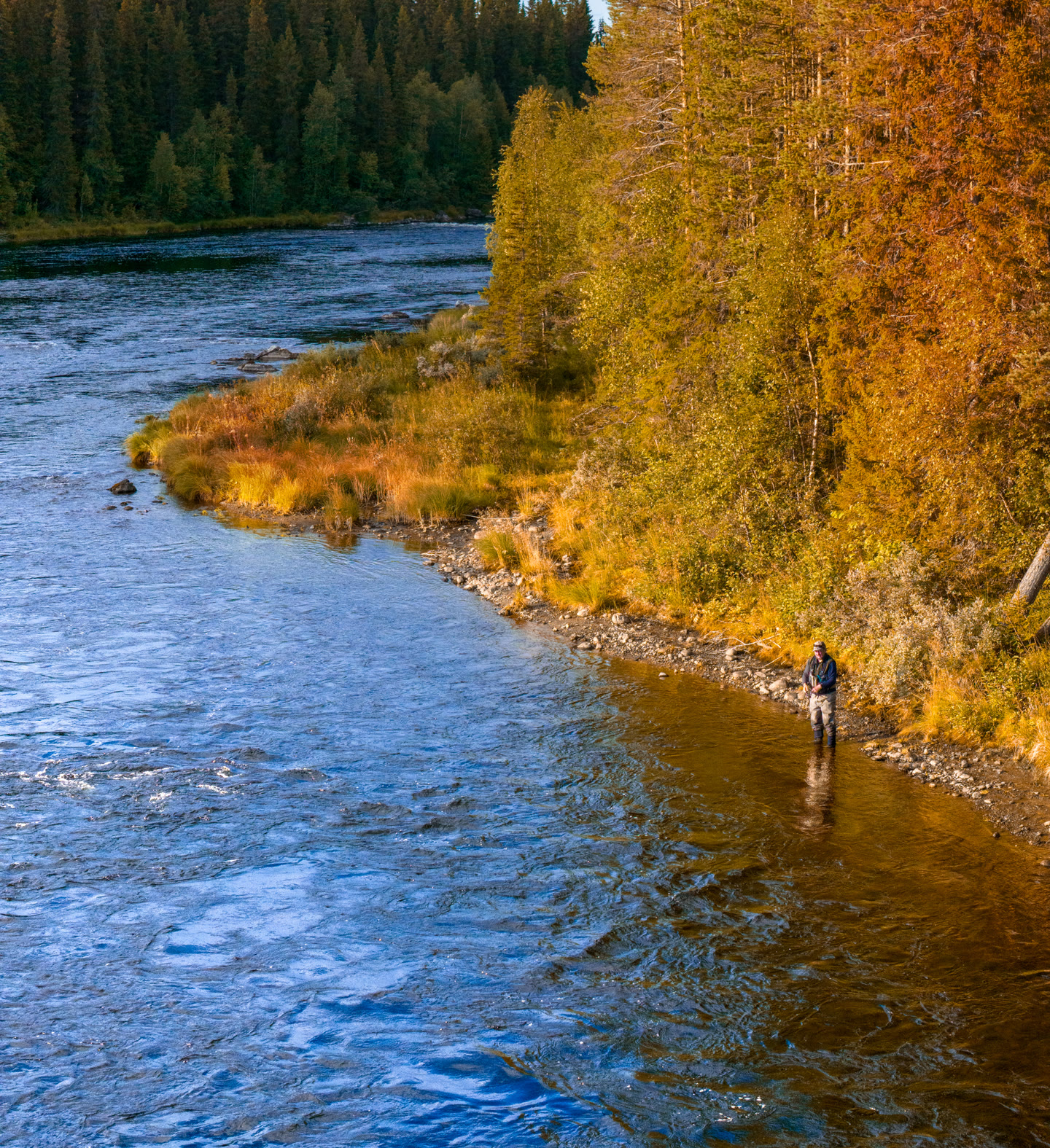 Fall fishing Swedish Lapland
