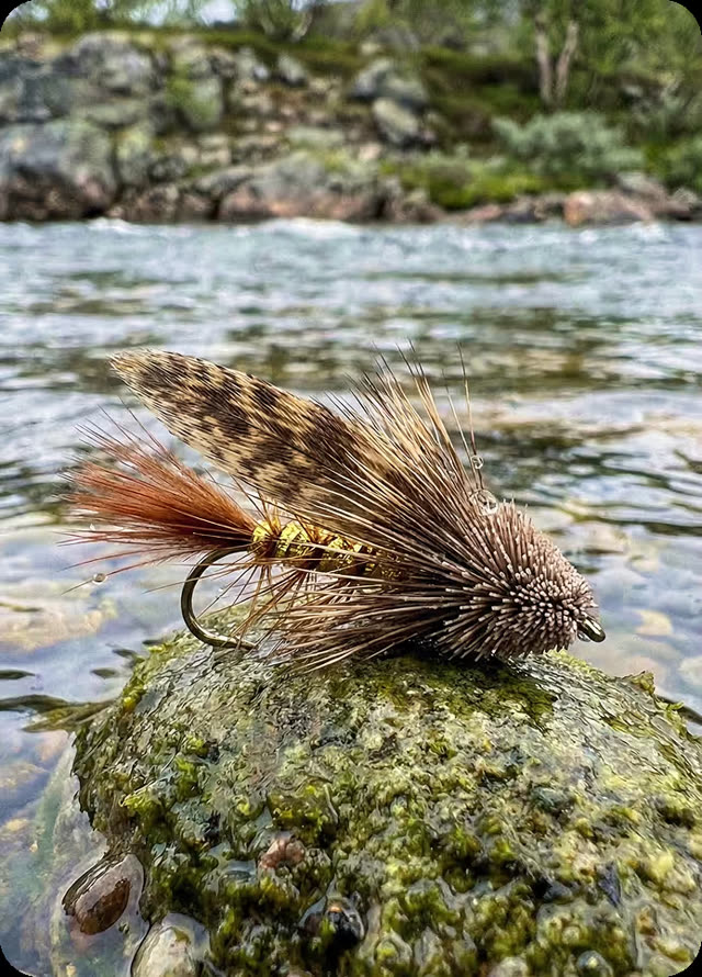 Muddler Minnow fly