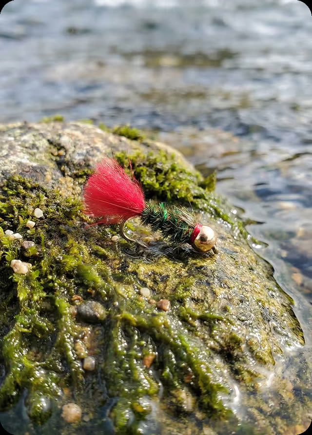 Red Tag fly