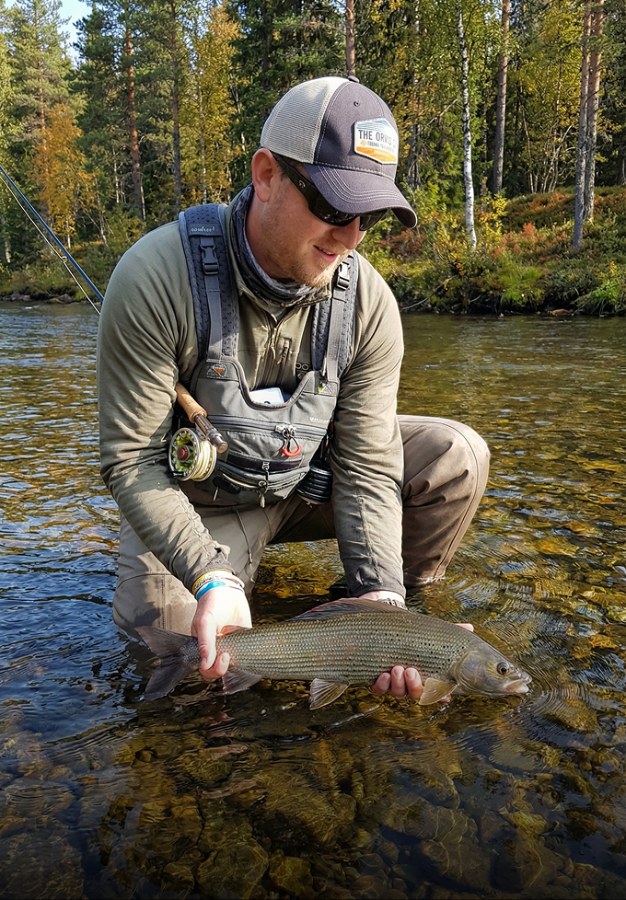 Harr på fluga hos Lapla Fishing, svenska Lappland