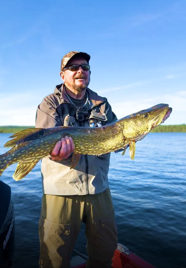 Northern Pike, Lapla Fishing, Swedish Lapland