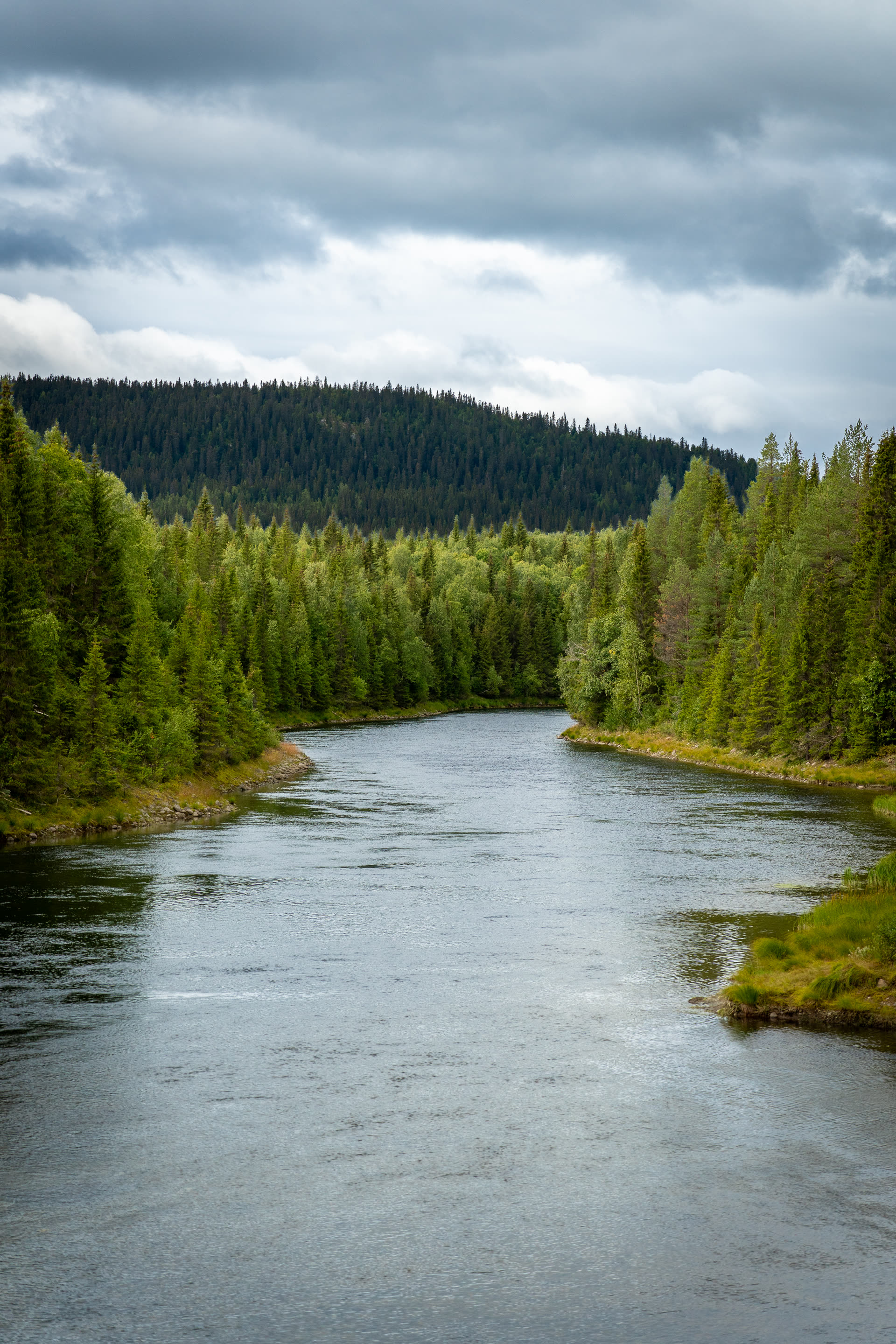 Swedish Lapland Fishing